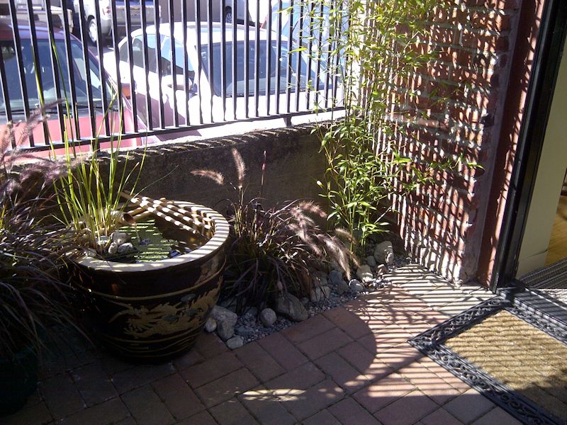 Water Feature