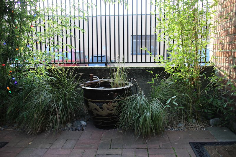 Landscape and Water Feature