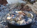 Water Feature